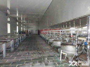 滄縣優質廠房與場地出租，助力食品加工與家具紙箱企業騰飛